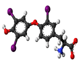 Reverse Triiodothyronine (rT3)