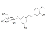 Rhaponticin (RT)