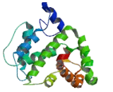 Rho GTPase Activating Protein 1 (ARHGAP1)