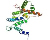 Rho GTPase Activating Protein 12 (ARHGAP12)