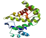 Rho GTPase Activating Protein 15 (ARHGAP15)