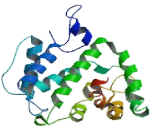 Rho GTPase Activating Protein 18 (ARHGAP18)