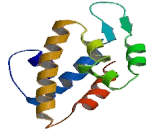 Rho GTPase Activating Protein 19 (ARHGAP19)