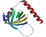 Rho GTPase Activating Protein 21 (ARHGAP21)