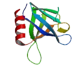 Rho GTPase Activating Protein 22 (ARHGAP22)