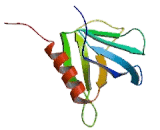 Rho GTPase Activating Protein 24 (ARHGAP24)