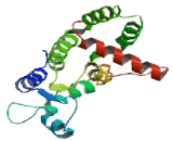 Rho GTPase Activating Protein 28 (ARHGAP28)