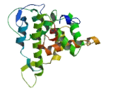 Rho GTPase Activating Protein 36 (ARHGAP36)