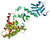 Rho GTPase Activating Protein 40 (ARHGAP40)