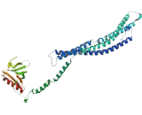 Rho GTPase Activating Protein 42 (ARHGAP42)