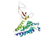 Rho Guanine Nucleotide Exchange Factor 10 (ARHGEF10)