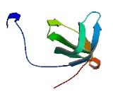 Rho Guanine Nucleotide Exchange Factor 16 (ARHGEF16)