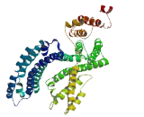 Rho Guanine Nucleotide Exchange Factor 35 (ARHGEF35)