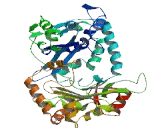 Rho Guanine Nucleotide Exchange Factor 37 (ARHGEF37)