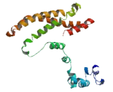 Rho Guanine Nucleotide Exchange Factor 38 (ARHGEF38)