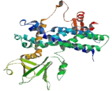 Rho Guanine Nucleotide Exchange Factor 4 (ARHGEF4)