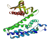 Rho Guanine Nucleotide Exchange Factor 40 (ARHGEF40)