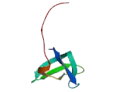 Rho Guanine Nucleotide Exchange Factor 5 (ARHGEF5)