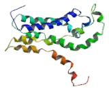 Rho Guanine Nucleotide Exchange Factor 7 (ARHGEF7)