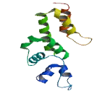 Rho Related BTB Domain Containing Protein 3 (RHOBTB3)