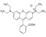 Rhodamine B (RDB)