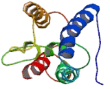 Rhomboid, Veinlet Like Protein 1 (RHBDL1)