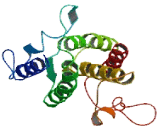 Rhomboid, Veinlet Like Protein 2 (RHBDL2)