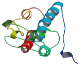 Rhomboid Domain Containing Protein 1 (RHBDD1)