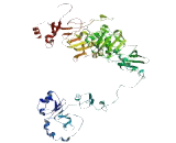 Rhomboid Family, Member 2 (RHBDF2)