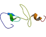 Rhombotin 1 (RHOM1)