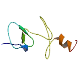 Rhombotin Like Protein 1 (RHOM2)