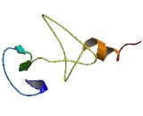 Rhombotin Like Protein 2 (RHOM3)