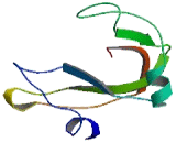 Ribonuclease A11 (RNASE11)