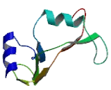 Ribonuclease A12 (RNASE12)