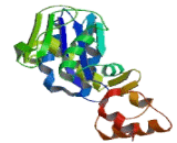 Ribonuclease H2 Subunit A (RNASEH2A)