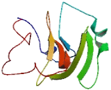 Ribonuclease H2 Subunit C (RNASEH2C)