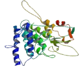 Ribonuclease P (RNASEP)