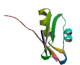 Ribonucleoprotein, PTB Binding 2 (RAVER2)