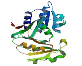 Ribose-5-Phosphate Isomerase A (RPIA)