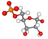 Ribose-5-phosphate (R5P)