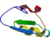 Ribosomal L24 Domain Containing Protein 1 (RSL24D1)