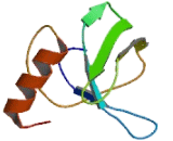 Ribosomal Protein L14 (RPL14)