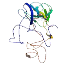 Ribosomal Protein L2 (RPL2)