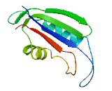 Ribosomal Protein L22 Like Protein 1 (RPL22L1)