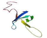 Ribosomal Protein L26 Like Protein 1 (RPL26L1)