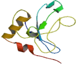 Ribosomal Protein L27 (RPL27)