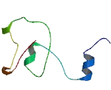 Ribosomal Protein L28 (RPL28)