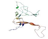 Ribosomal Protein L3 Like Protein (RPL3L)