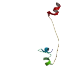 Ribosomal Protein L34 (RPL34)