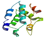 Ribosomal Protein L35 (RPL35)